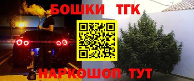 спиды Севастополь