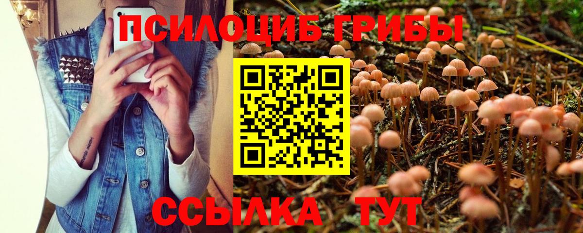 Галлюциногенные грибы мухоморы Курганинск