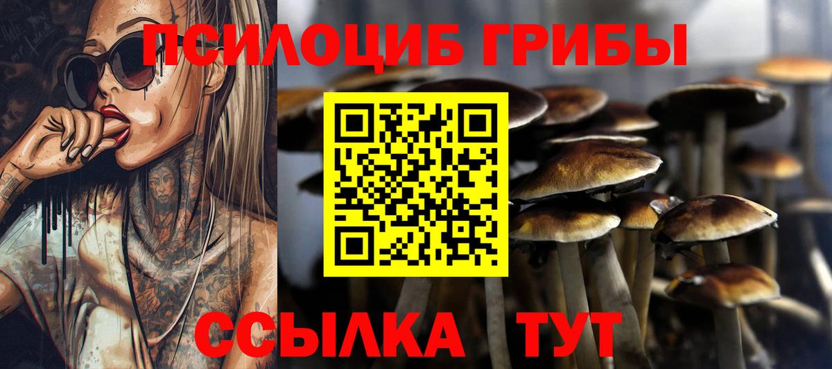 Курганинск  Галлюциногенные грибы Psilocybe  Галлюциногенные грибы Cubensis  Вход с VPN 